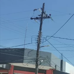 Mas Ferre Suc. Tempoal