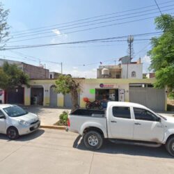 La Pachoncita