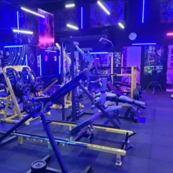 New Body Gym