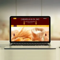 dwvisual-Diseño Web Rosario-Diseño Gráfico Rosario