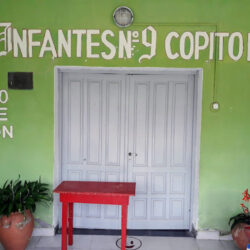 Jardin N9 Copito De Algodon