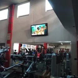 New Body GYM