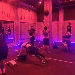 TREINO estudio fitness