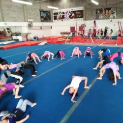 Gimnasia Star's Gym