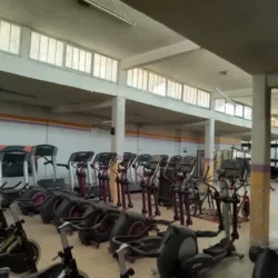 Moga gym