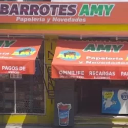 Abarrotes y Papeleria Amy