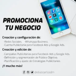 Carlos Diaz - Digital Manager