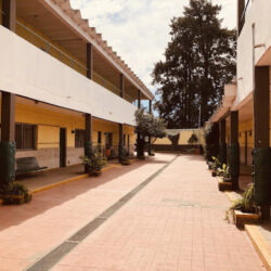 Instituto San Pedro