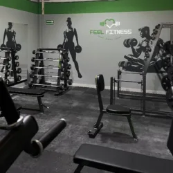 Feel Fitness