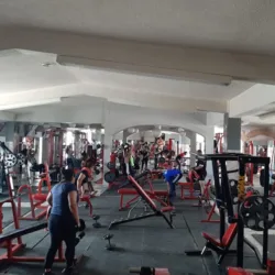 Bi Sport Gym
