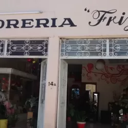 FLORERIA FRIZIA "FRIZIA ARTE FLORAL"
