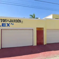 Bonita’s Gym