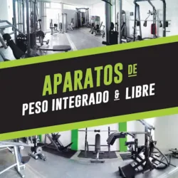 Body Force Women