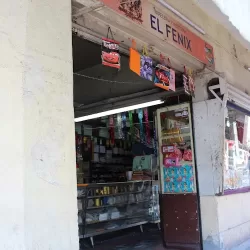 Papeleria y Merceria El Fenix