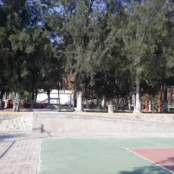 Comisión Municipal del Deporte