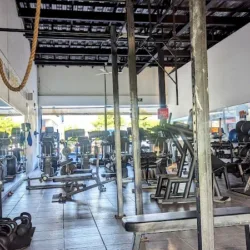 Dynamik Manzanillo