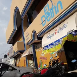 Papelería, Perfumería y Mercería el Delfín, S.A. de C.V.