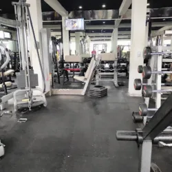 Ozone Fitness 1