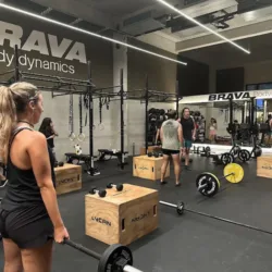 BRAVA Body Dynamics