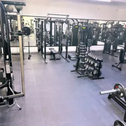 Muscle Fitness Center 2