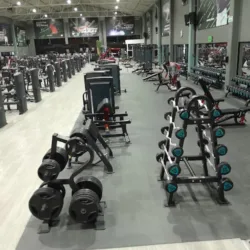 One Fitness