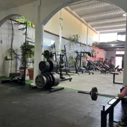 TRASCIENDE GYM