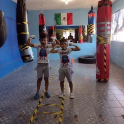 Monkeys boxing-fitness