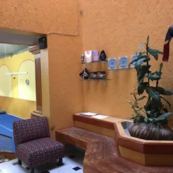 Central Gym Xalapa - Gimnasia Artística