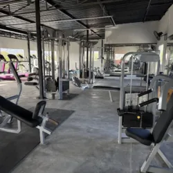 Altafit Manzanillo