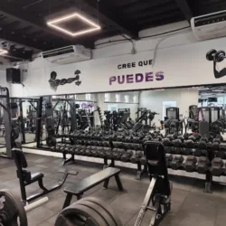 Wolf Nation Gym