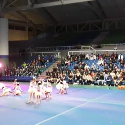 Gimnasio Nido del Halcón UV