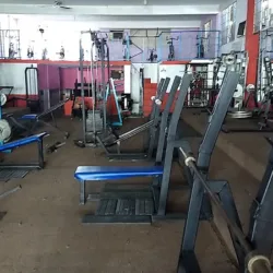 Body Building Gym