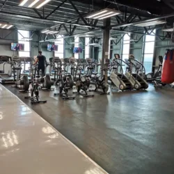 Stay Fit Global Gym