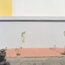 Bordados Computarizados