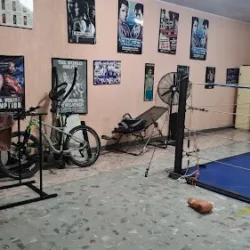 12 Asaltos Academia de Boxeo
