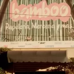Bamboo