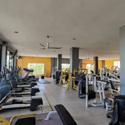 Gimnasio Le Tour Insurgentes