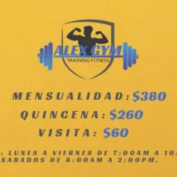 Alex GYM Campeche