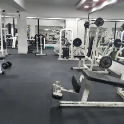 Spartan GYM