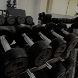Olympic Spartans Gym