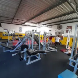 Gorilla Gym
