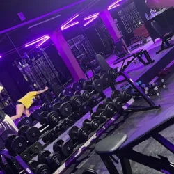 Pitbull gym