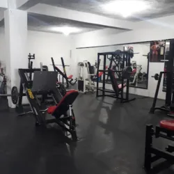 LEÓN GYM