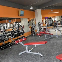 Hard Training Gym