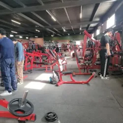JULIUS GYM