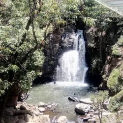 ViveValle