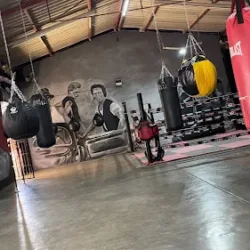 Box gym