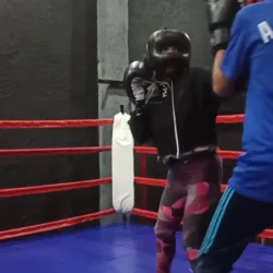 The Brawl Fight and Fit Club