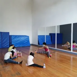 Acro Max