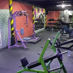 The Gym